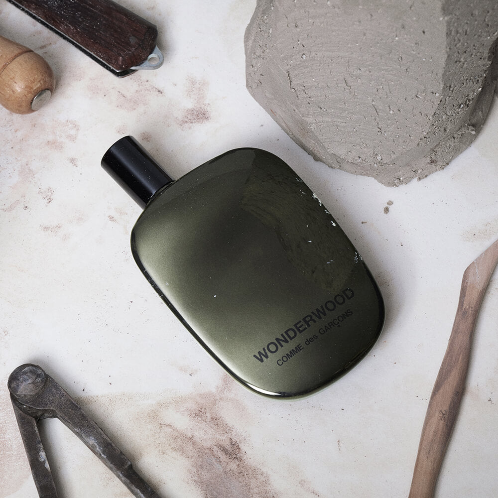 Comme Des Garcons Wonderwood EDP 50 ml kainos nuo 133.10