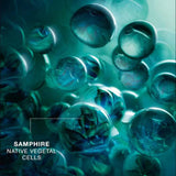 Helena Rubinstein POWERCELL SKINMUNITY youth renforcing cream miniatura da 5 ml