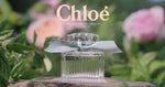 CHLOÉ ROSE NATURELLE eau de parfum donna da 50 ml spray