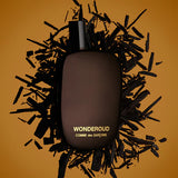 Comme des Garcons Wonderoud eau de parfum unisex da 100 ml spray